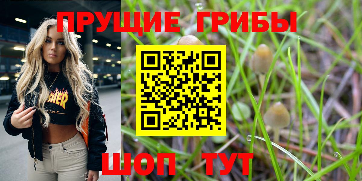Коммунар  Псилоцибиновые грибы MAGIC MUSHROOMS  Галлюциногенные грибы GOLDEN TEACHER  купить  цена  Вход с VPN 